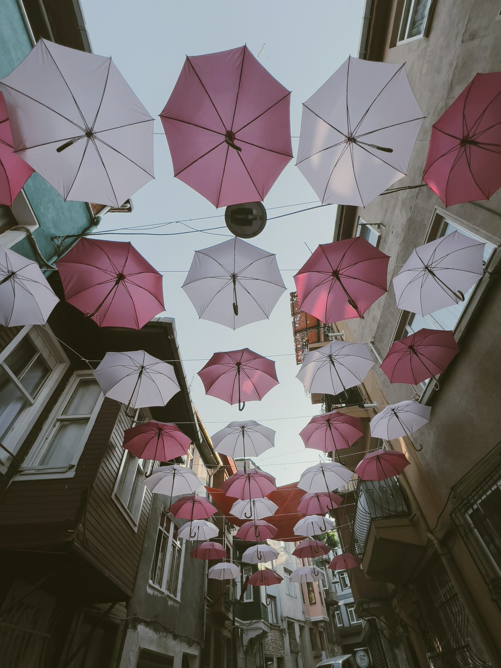 Image hover effect image